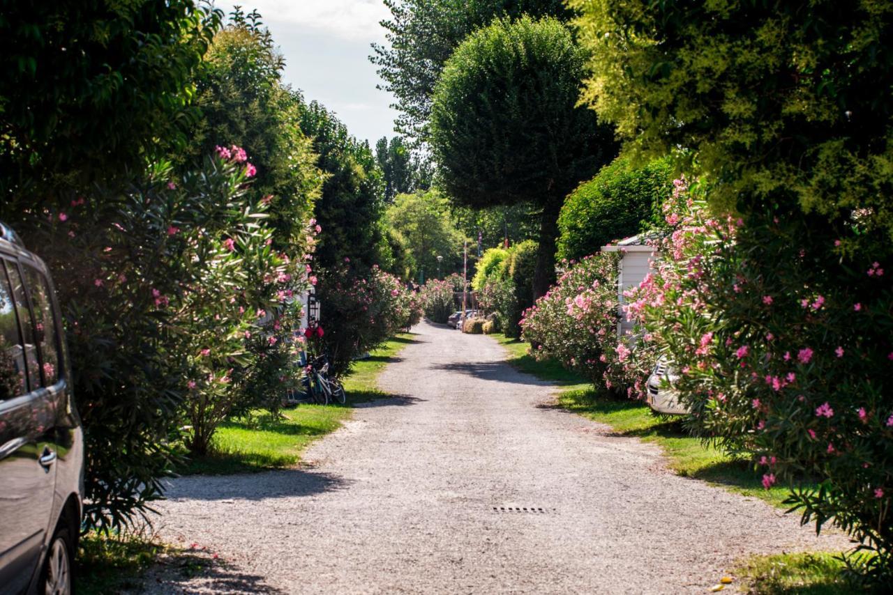 Albatross Mobile Homes On Camping Baia Verde Manerba del Garda Dış mekan fotoğraf